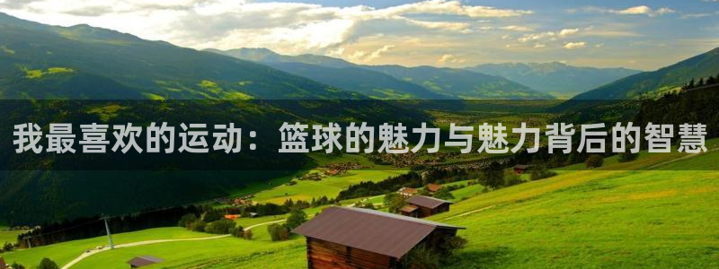 德国J9官方正版app集团:我最喜欢的运动:篮球的魅力与魅力